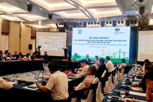 Phát triển Hydrogen xanh để xây dựng nền kinh tế các bon thấp và chống biến đổi khí hậu tại Việt Nam